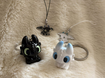 Dragon Duo (Toothless & Light Fury)
