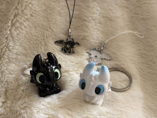Dragon Duo (Toothless & Light Fury)